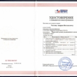 Повышение Квалификации 2024 - Чистов Андрей Витальевич