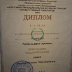 Диплом: Новосибирский государственный университет, 2013 — Бутина Д.С.