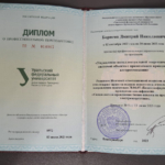 Диплом бизнес - Борисов Дмитрий Николаевич