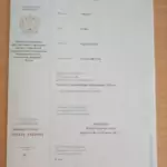 Диплом бакалавра 2 - Тренина Софья Александровна