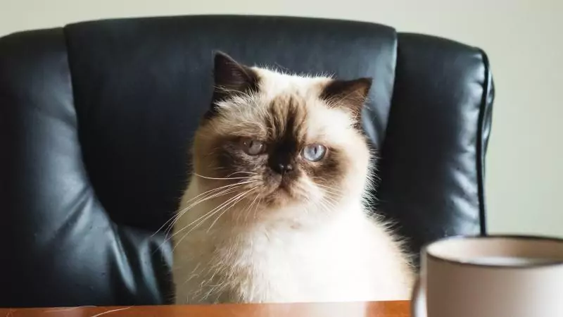 Юрист Иванов Сергей Михайлович объясняет: С 1 октября 2025 вступят в силу изменения, касающиеся порядка подтверждения факта назначения пенсии