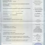 Диплом РУДН 2 - Алексеенко Нина Александровна