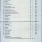 Диплом РУДН 3 - Алексеенко Нина Александровна