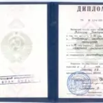 Диплом ЧЕЛгУ - Московец Василий Викторович