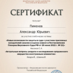 Сертификат 23.09.22-6ч - Пименов Александр Юрьевич