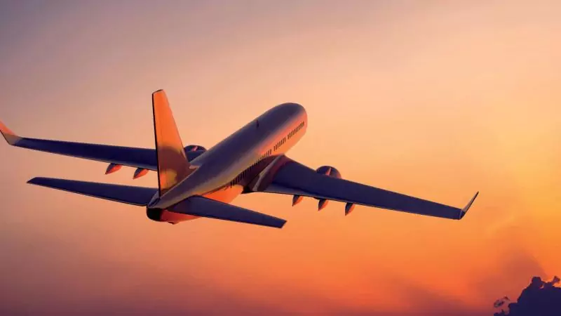 Адвокат Конопля Иван Сергеевич объясняет: Кто несет ответственность за опоздание на стыковочный авиарейс?