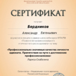 Сертификат - Бердников Александр Евгеньевич