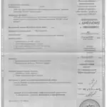 Диплом: Университет управления «ТИСБИ» (НЧФ) , 2009 — Газизуллин И.И.