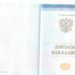 Диплом: Стерлитамакский филиал Башкирского государственного университета, 2025 — Жигалина Н.С.