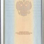 Обложка диплома - Субарева Елена Сергеевна