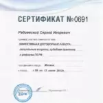 Сертификат СИ МЛогос 2012 (эффективная договорная работа) (1)-1 - Рабиевский Сергей Игоревич