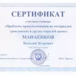 Сертификат 2 - Манаенков Виталий Игоревич