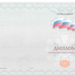 Обложка диплома - Субарева Елена Сергеевна