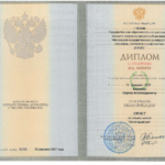 Диплом: Московский государственный университет экономики, статистики и информатики, 2007 — Баранов С.А.