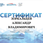 Сертификат 7 - Зоркальцев Александр Владимирович