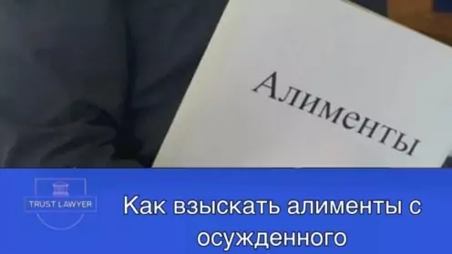 Как взыскать алименты с осужденного: полное руководство