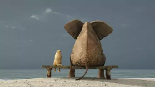 Что делать если ПАО “Россети” нарушаю сроки подключения электроэнергии?