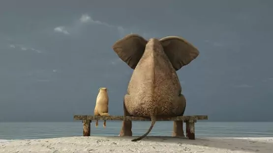 Юрист Петров Алексей Леонидович объясняет: Что делать если ПАО “Россети” нарушаю сроки подключения электроэнергии?