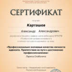Сертификат 11 - Карташов Александр Александрович