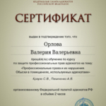 Сертификат 14.03.2023 - Орлова Валерия Валерьевна