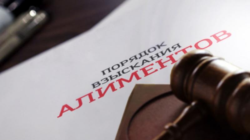 Юрист Батурина Оксана Александровна объясняет: Порядок взыскания алиментов