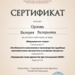 Сертификат 18.07.2023 - Орлова Валерия Валерьевна