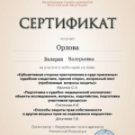 Сертификат 17.06.2025 - Орлова Валерия Валерьевна