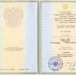 Диплом - Бирючев Александр Николаевич