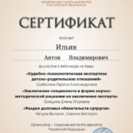 Сертификат - Ильин Антон Владимирович