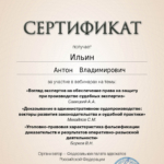 Сертификат 2 - Ильин Антон Владимирович