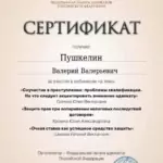 Сертификат 3 - Пушкелин Валерий Валерьевич