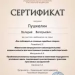 Сертификат 5 - Пушкелин Валерий Валерьевич