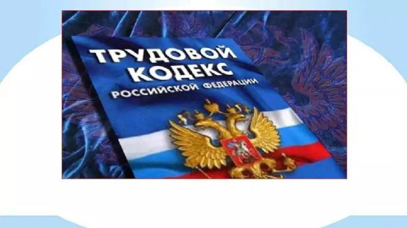 Юрист Шефер Александр Семенович объясняет: Незаконное увольнение с работы. Что делать?