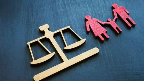 Проблемы судебной защиты права родителей на воспитание несовершеннолетних детей