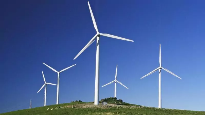 Юрист Шандецкий Виктор Алексеевич объясняет: Взыскание процентов с таможенных органов за просрочку возврата денежных средств