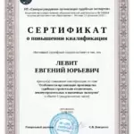 Сертификат СРО судебных экспертов 2025 - Левит Евгений Юрьевич