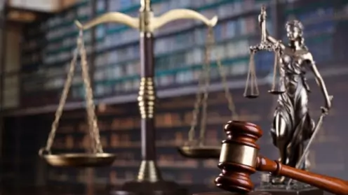 Интересы участника ВЭД были успешно защищены с повторным пересмотром в апелляции