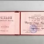 Диплом: Казанский государственный университет имени В.И. Ульянова-Ленина, 2002 — Шафеев Д.Р.