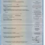 Диплом приложение - Громов Николай Анатольевич