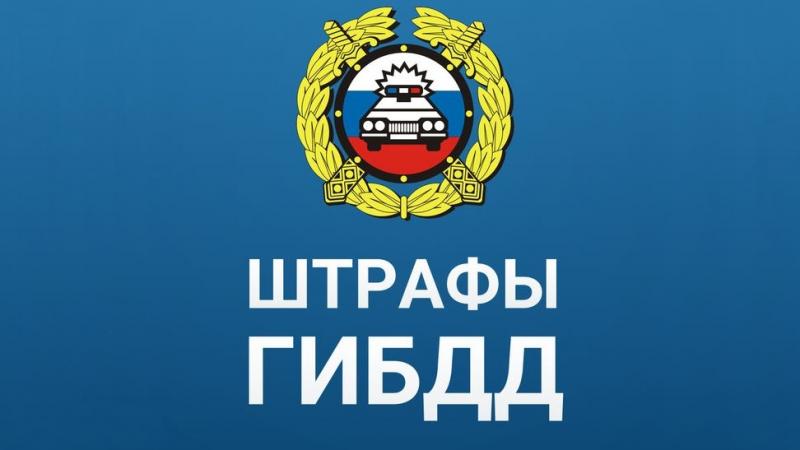 Юрист Нестерова Жанна Валерьевна объясняет: Как подать апелляцию на штраф ГИБДД с камеры?