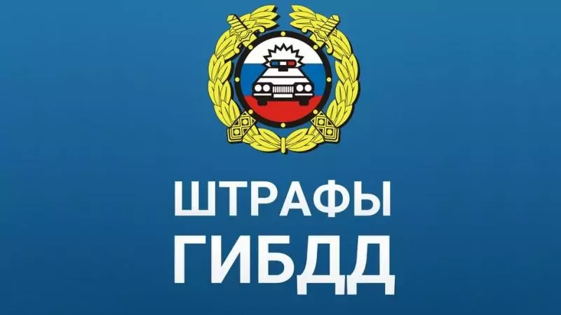 Юрист Нестерова Жанна Валерьевна объясняет: Как подать апелляцию на штраф ГИБДД с камеры?