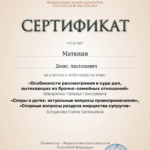 сертификат от 01.07.2024 - Матюхин Денис Анатольевич