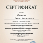 Сертификат от 01.08.2023 - Матюхин Денис Анатольевич