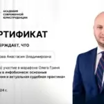 Сертификат 5 - Шипилова Анастасия Владимировна