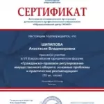 Сертификат 7 - Шипилова Анастасия Владимировна