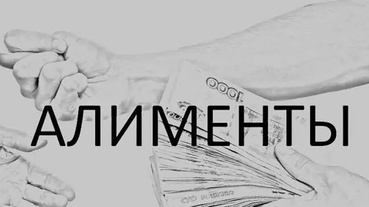 Юрист Нестерова Жанна Валерьевна объясняет: Индексация алиментов при инфляции: новые правила 2025