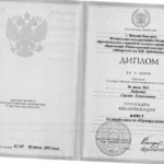 Диплом Ладугин С.А. - Ладугин Сергей Алексеевич