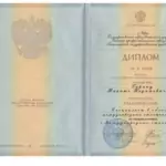 Диплом - Гарин Никита Вадимович