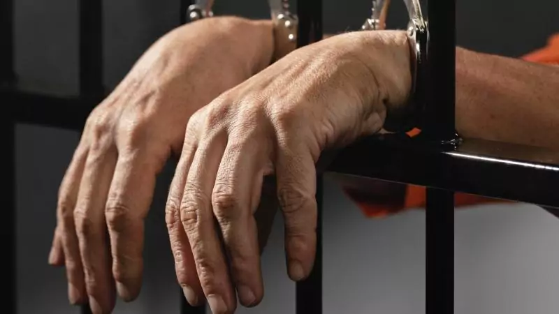 Адвокат Сагитов Эльдар Рафаилович объясняет: Освобождение из под ареста