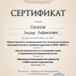 Сертификат - Сагитов Эльдар Рафаилович